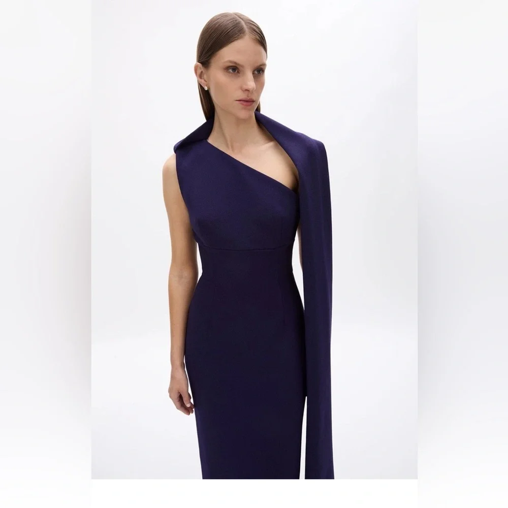 NWOT $1200 MRPs Rachel Gilbert Clara dress in dark indigo size 8 - Picture 9 of 17